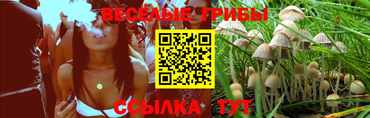 Галлюциногенные грибы Psilocybe  Псилоцибиновые грибы прущие грибы  Вход с VPN  Кыштым 